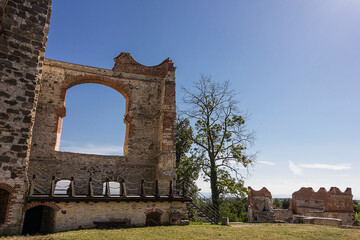 Wall Mural - Ruins of the ancient castle of Tenchin in the sunlight in Rudno, Poland