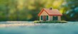 © てんぷら - 小さな家の模型