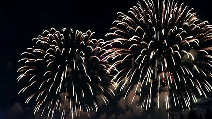 Wall Mural - fireworks are being launched into the sky.
