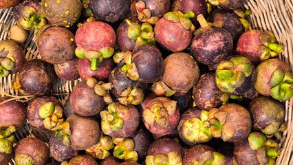 Poster - Mangosteen is a fruit in Thailand.