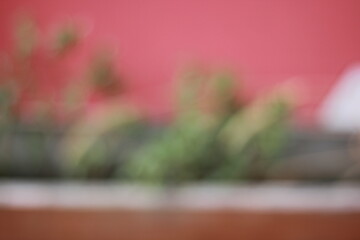 Wall Mural - A vague view of plants growing along a red wall.