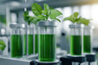 © Mongkol - Algae Fuel Research Facility, laboratory setting focused on photobioreactor technology for biofuel production and treatment processes