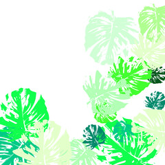 Wall Mural - pattern with green leaves