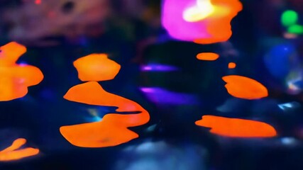 Wall Mural - Abstract Neon Lights: A captivating abstract photograph of glowing neon lights in a deep blue backdrop. The blurred colors create a mesmerizing, almost ethereal, visual experience.