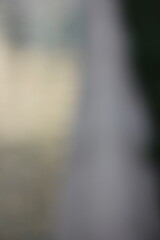 Wall Mural - a dreamy view of a water fountain spounting in the park.