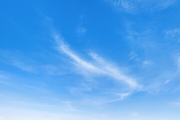 Wall Mural - sky is blue and clear with no clouds