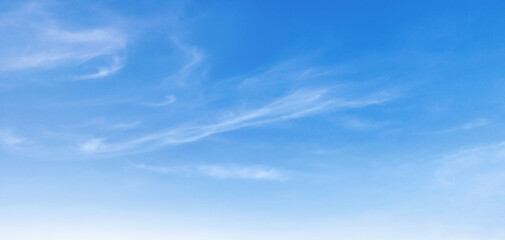 Wall Mural - sky is blue and clear with no clouds