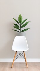 Poster - Green indoor plant in a modern minimalistic room with sunlight streaming through