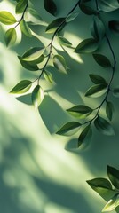 Wall Mural - Lush green leaves creating a calming atmosphere with soft light in the background