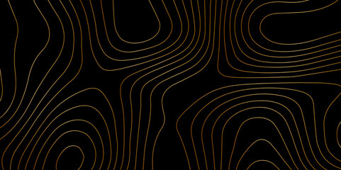 Wall Mural - abstract light pattern vector illustration. topographic map background concept. vibrant neon lights 