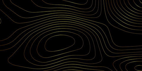 Wall Mural - abstract light pattern vector illustration. topographic map background concept. vibrant neon lights 