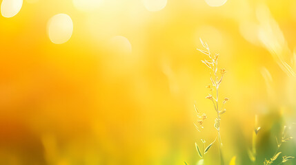 Wall Mural - yellow abstract nature blurred background gradient backdrop. ecology concept for your graphic design
