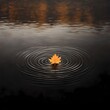 © StudioXAhmed - A single golden leaf resting on the surface of a quiet reflective river