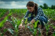 © Александр Марченко - Female farmer examining young corn plants in cultivated field