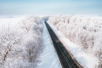 Aufkleber - An asphalt road runs in the distance among snow-covered trees on a frosty winter day.