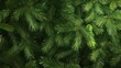 © AbstractAI - Lush green fir tree branches creating a rich and festive background, perfect for holiday-themed wallpapers and decorations.