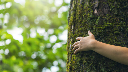 Wall Mural - Closeup hands touching a tree with moss in the forest. Environmental concept. Nature conservation. Environmental protection. Forest ecology. World environment day. Forest nature. Green background.