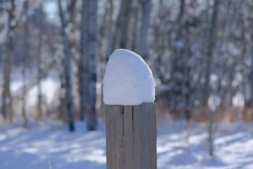 Wall Mural - snow covered fence