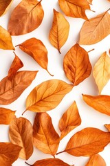 Wall Mural - White background with autumn leaves