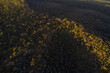 © Austockphoto - Aerial view of a ridge covered in bush in Western Australia, with contrasting light and shadow