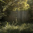© methinee - Overgrown, abandoned garden background with scratched wooden fence, neglected gardens, , weathered wood, garden overgrowth, broken fences