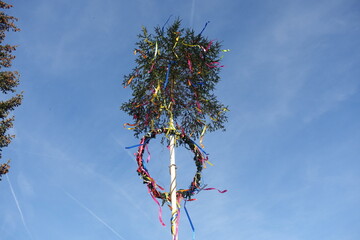 Wall Mural - Maibaum