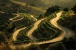 © jambulart - Winding road through sun-drenched vineyards.