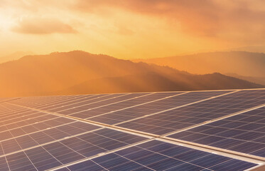 Wall Mural - close up rows array of polycrystalline silicon solar panels or photovoltaics cell in solar plant sta