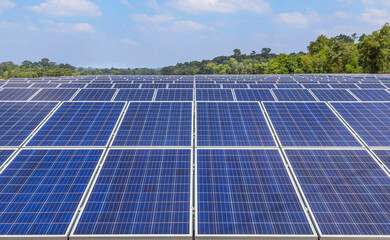 Wall Mural - close up rows array of polycrystalline silicon solar panels or photovoltaics cell in solar plant sta