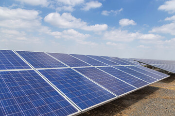 Wall Mural - close up rows array of solar panels or photovoltaics in solar power station convert light energy fro