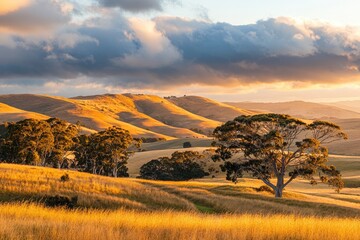 Wall Mural - majestic mountains: autumn sunset casting golden hues behind wispy clouds