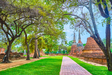 Wall Mural - The ancient brick chedis in Wat Phra Si Sanphet site, Ayutthaya, Thailand