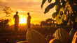 © john - Two farmers stand in a cocoa plantation at sunset, with ripe cocoa pods in the foreground.