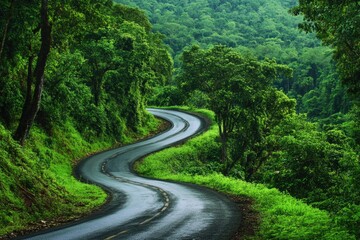 Wall Mural - A winding road through a dense and vibrant forest