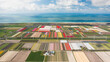 © AmazingAerialAgency - Panoramic aerial view of a tulip field in The country of tulips, Holland