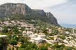 © Travel 'n' Lifestyle - View of picturesque coastal town with white buildings and lush greenery, Capri, Italy.