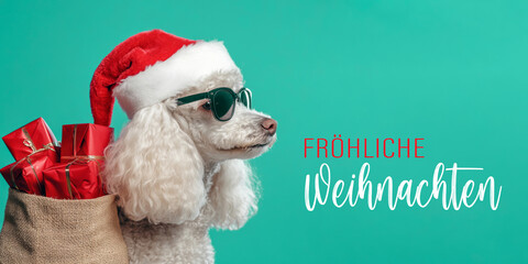 Wall Mural - fröhliche weihnachten urlaub winter grußkarte mit deutschem text - cooler pudel hundhaustier mit wei