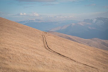 Wall Mural - road to the mountains