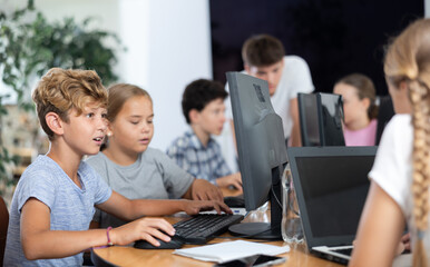 Wall Mural - Computer science lesson in a school computer class - a girl and a boy solve problems on the computer together