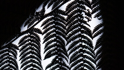 Wall Mural - New Zealand fern plant close up green 