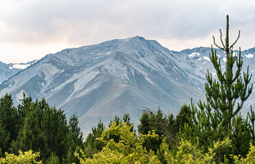 Wall Mural - Beautiful landscape trees mountains grass fields in mackenzie new zealand evening sunlight sunset