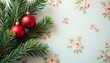 © shivraj - christmas background with fir branches and decorations
