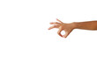 © Masteronline2017 - Boy's hand in gesture of gently picking up an object on white background