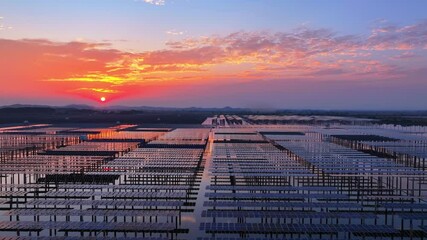 Wall Mural - Aerial view of solar photovoltaic panels