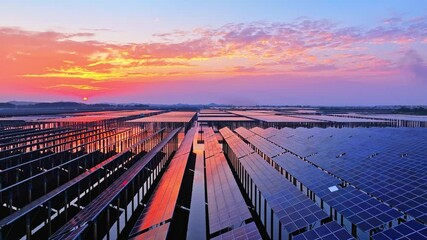 Wall Mural - Aerial view of solar photovoltaic panels