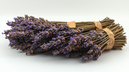 Fototapete - Harvested lavender bundles arranged against a clean white background showcasing their vibrant purple flowers and natural textures.