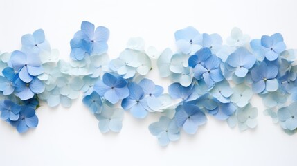 Aufkleber - Blue hydrangea flowers arranged in a flat lay on a white background creating a serene and elegant floral backdrop for design projects.