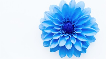 Aufkleber - Blue Floral Texture on White Background Close-Up Capturing Nature's Beauty for Design and Pattern Applications