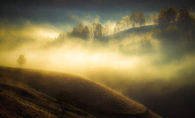 Canvas Print - amazing foggy autumn landscape in the mountains