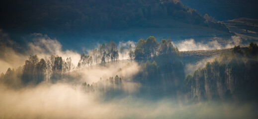 Canvas Print - amazing foggy autumn landscape in the mountains